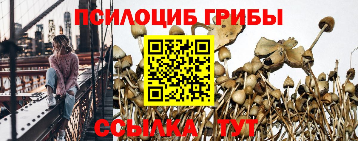 Коломна  Галлюциногенные грибы ЛСД  Галлюциногенные грибы ЛСД  Вход с VPN 